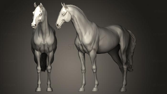 Статуэтки животных 3D скульптура лошади